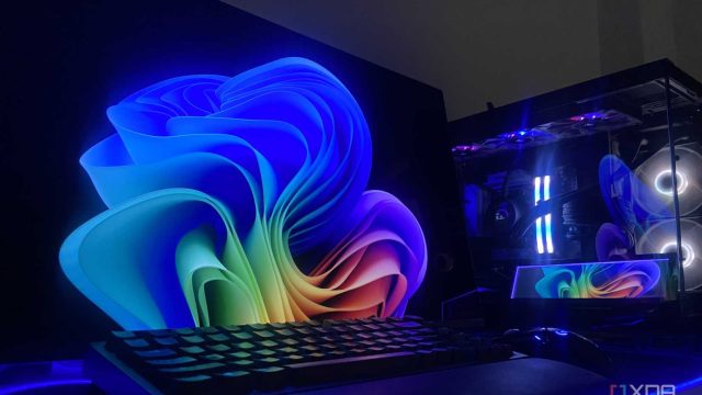 Màn hình máy tính đang chạy Windows 11.