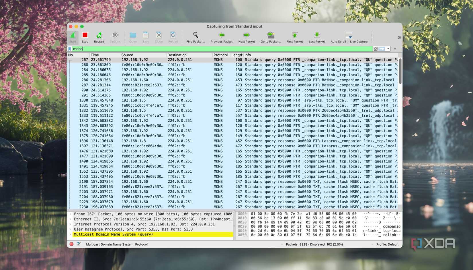 Màn hình Wireshark kiểm tra truy vấn mDNS của thiết bị smart home