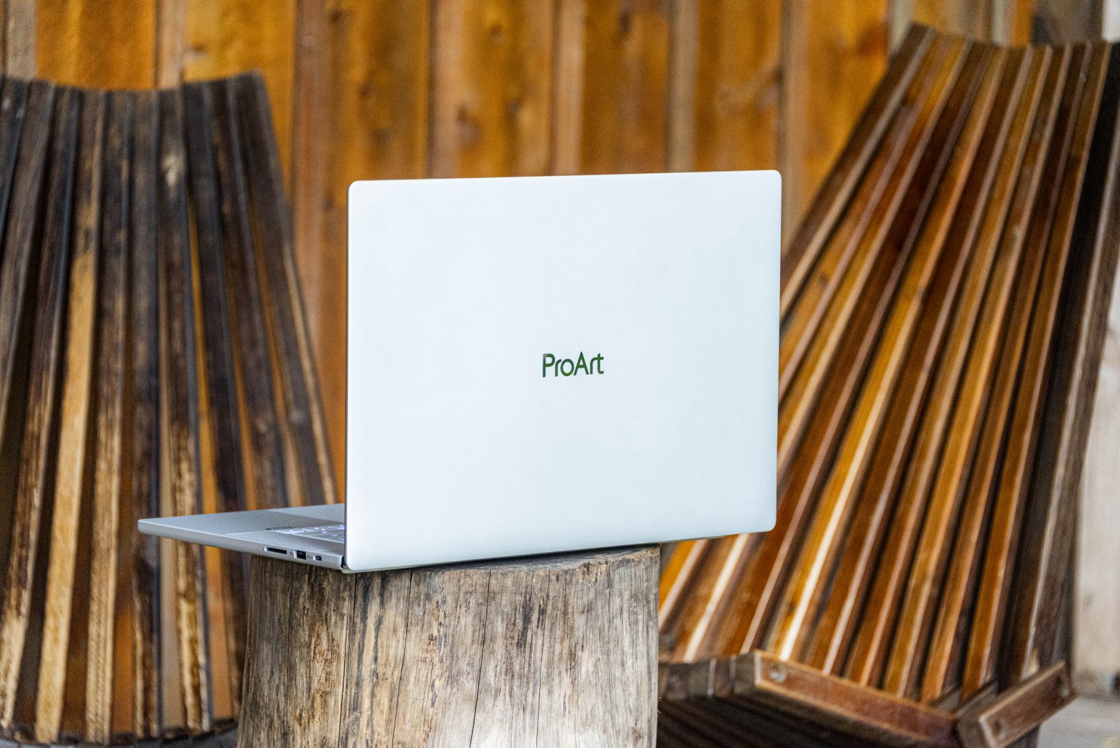 Mặt lưng ProArt P16 đặt dựng trên khúc gỗ