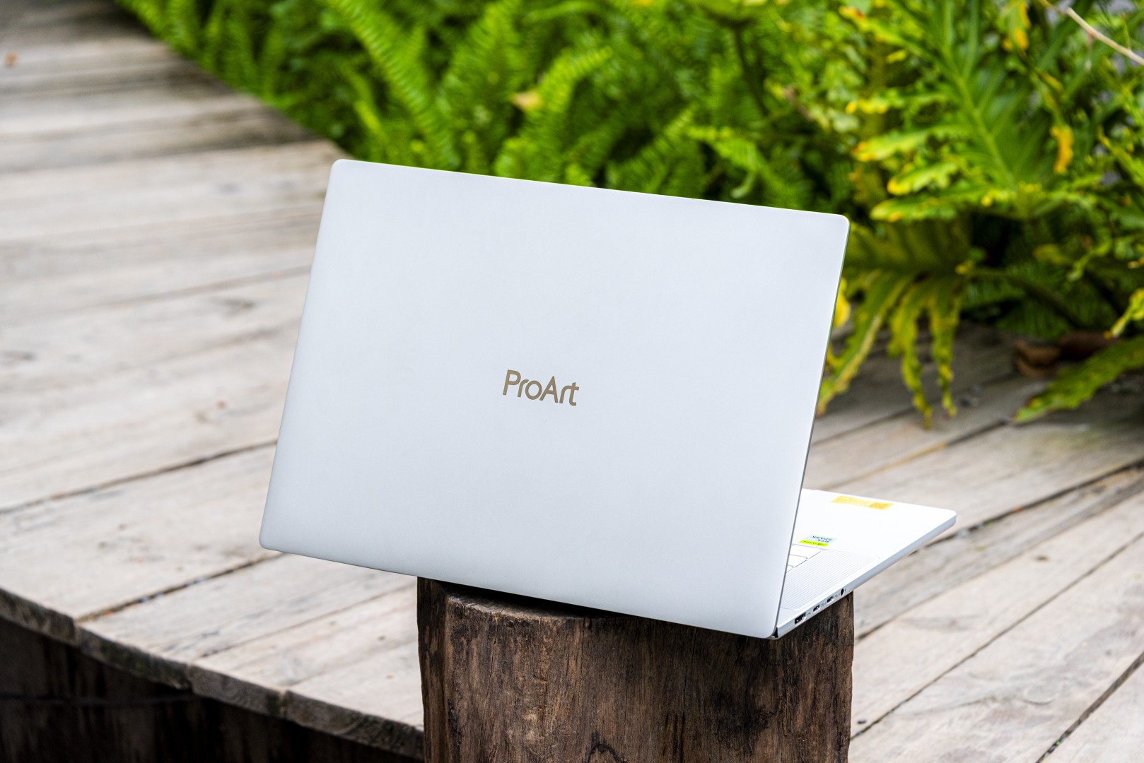 Mặt lưng ProArt P16 đặt trên khúc gỗ