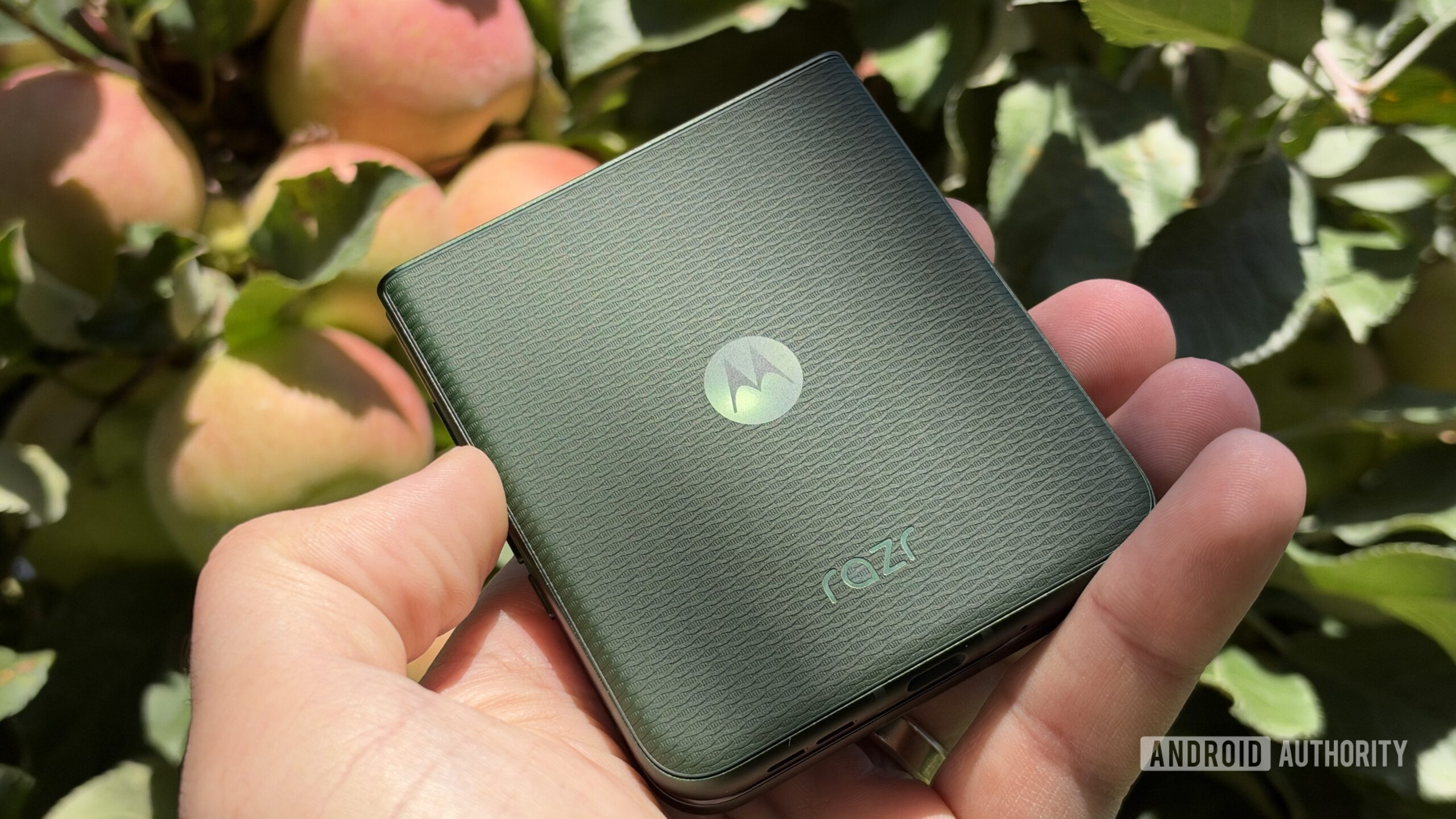 Mặt lưng xanh lá vân dệt của Motorola Razr+ 2026 trong tay người dùng