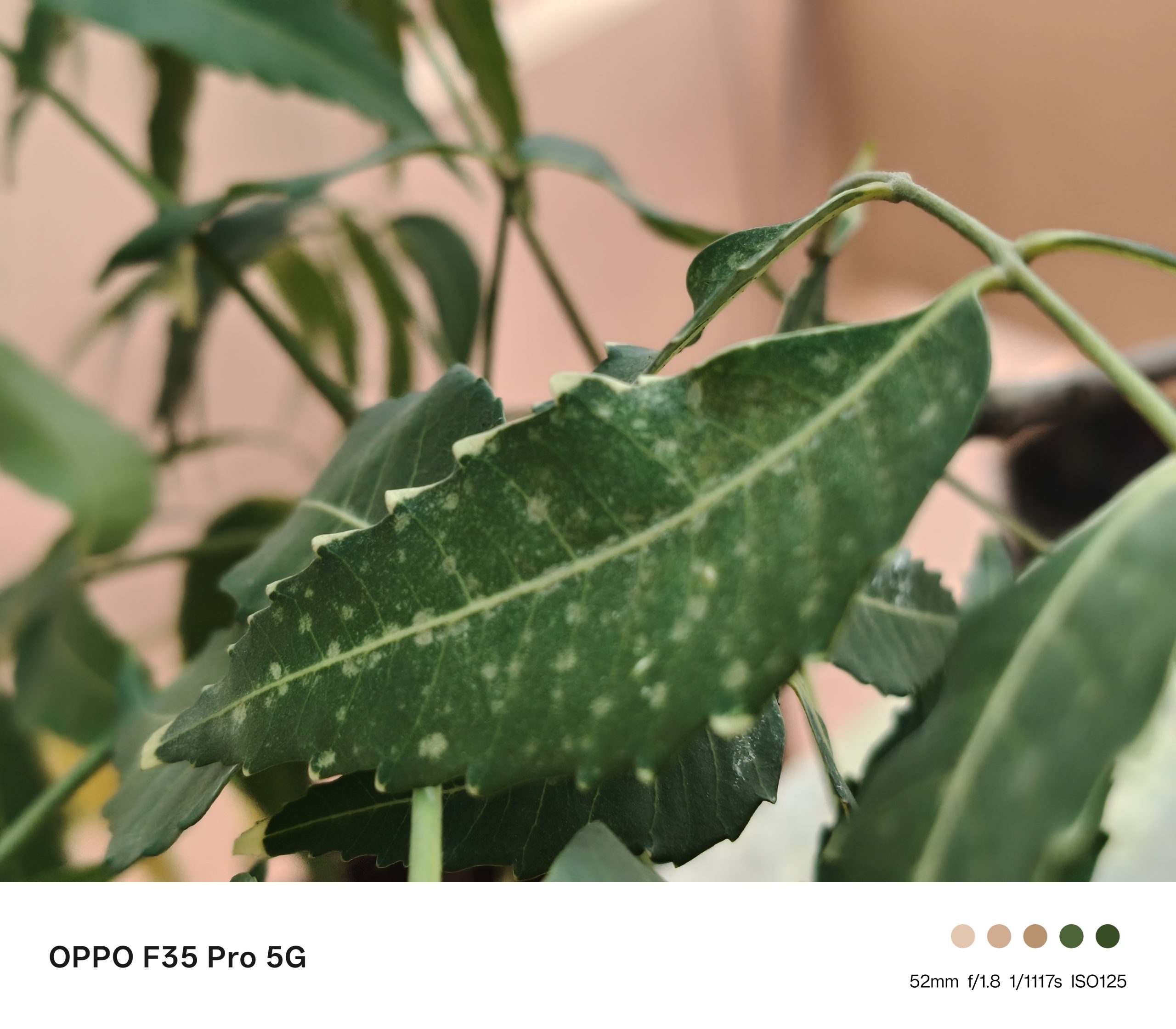Ảnh mẫu Oppo F35 Pro do FoneArena chụp, mẫu 8