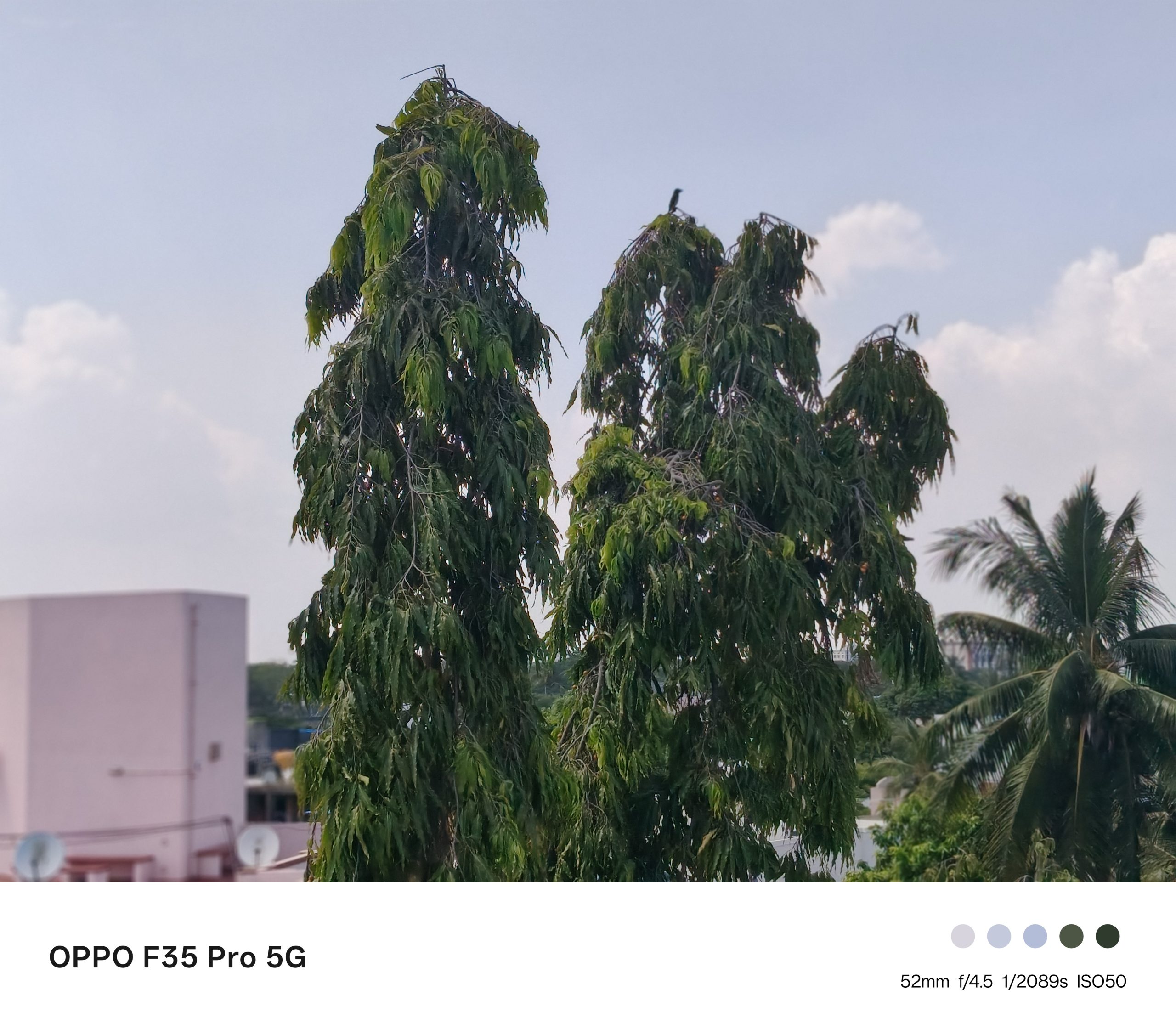 Ảnh mẫu Oppo F35 Pro do FoneArena chụp, mẫu 9