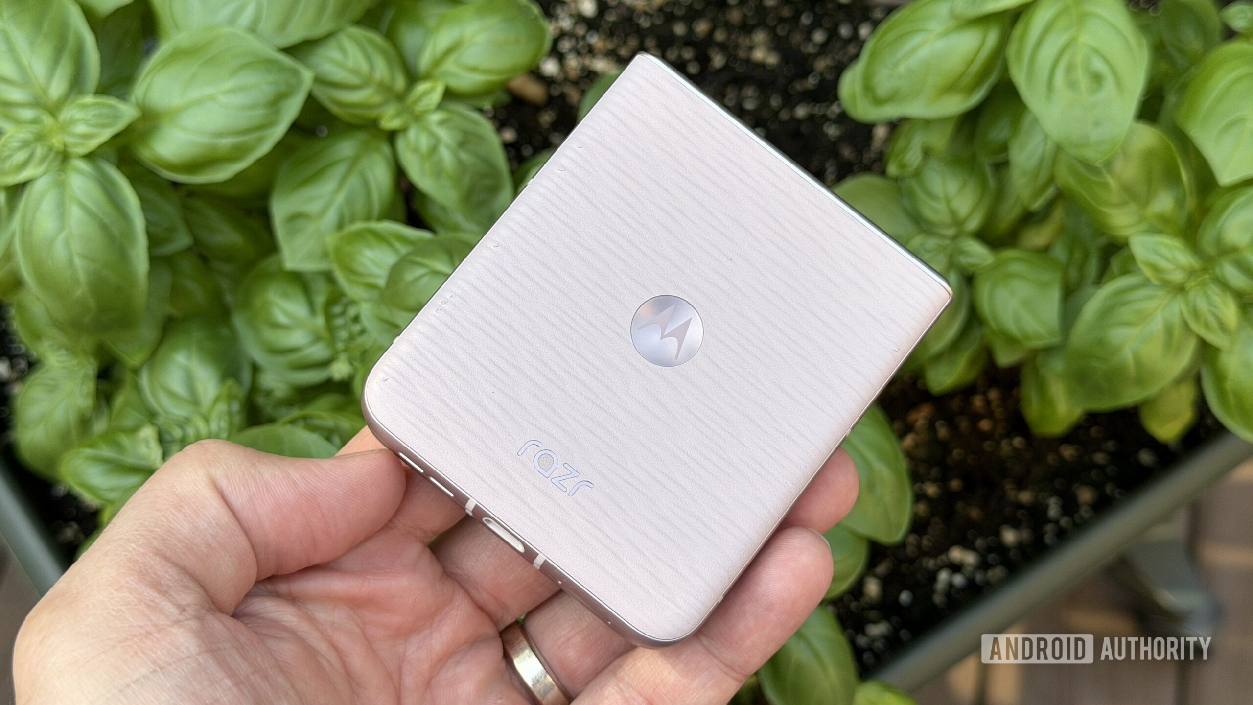 Motorola Razr 2026 basil