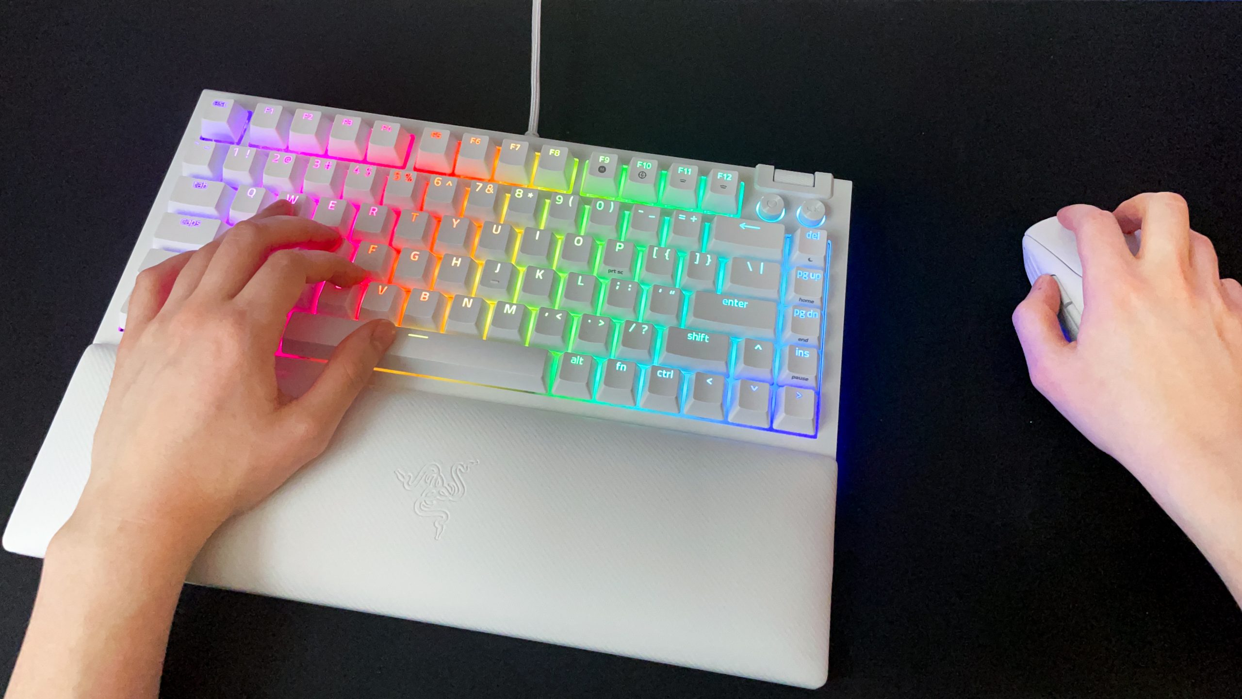 Người dùng đặt tay lên bàn phím Razer màu trắng có đệm kê tay