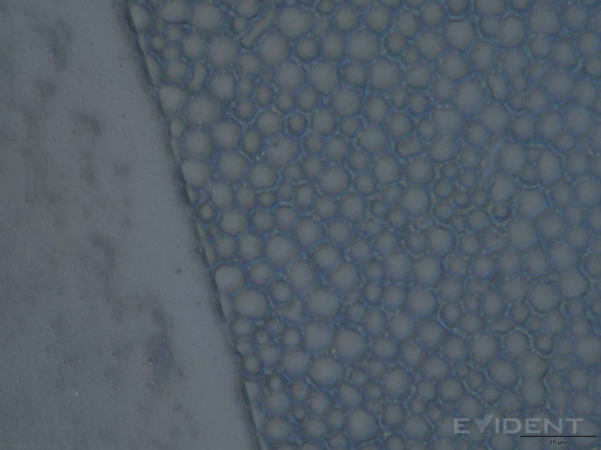Ảnh phóng đại lớp phủ nano-texture