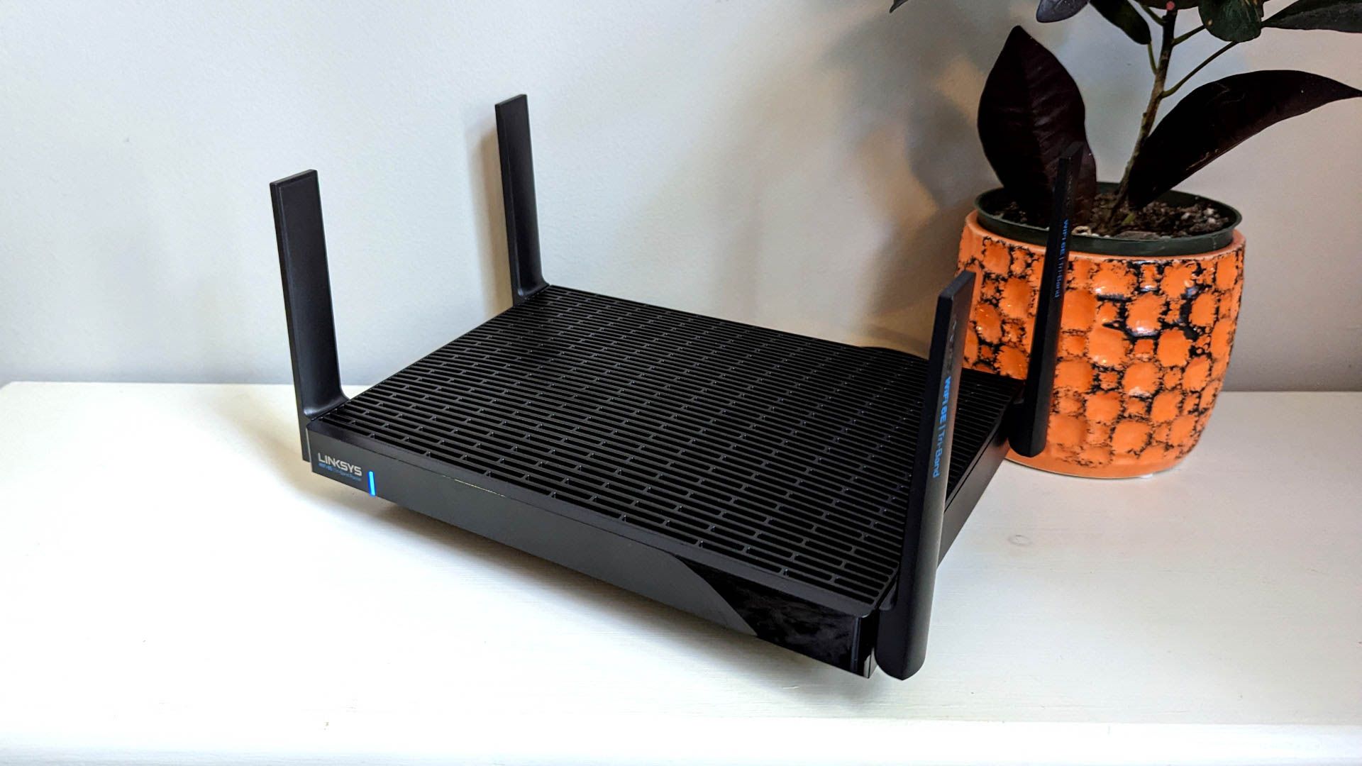 Router Linksys Hydra Pro 6E cạnh chậu cây