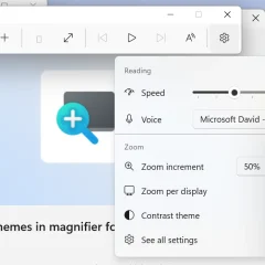 Thanh công cụ Magnifier có nút bật chủ đề tương phản riêng, thay vì đảo màu toàn bộ nội dung hiển thị.