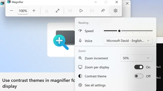 Thanh công cụ Magnifier có nút bật chủ đề tương phản riêng, thay vì đảo màu toàn bộ nội dung hiển thị.