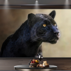 TV OLED LG 97 inch treo tường trong phòng khách