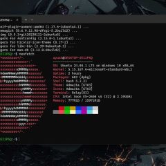 Ubuntu chạy trong WSL trên Windows 11